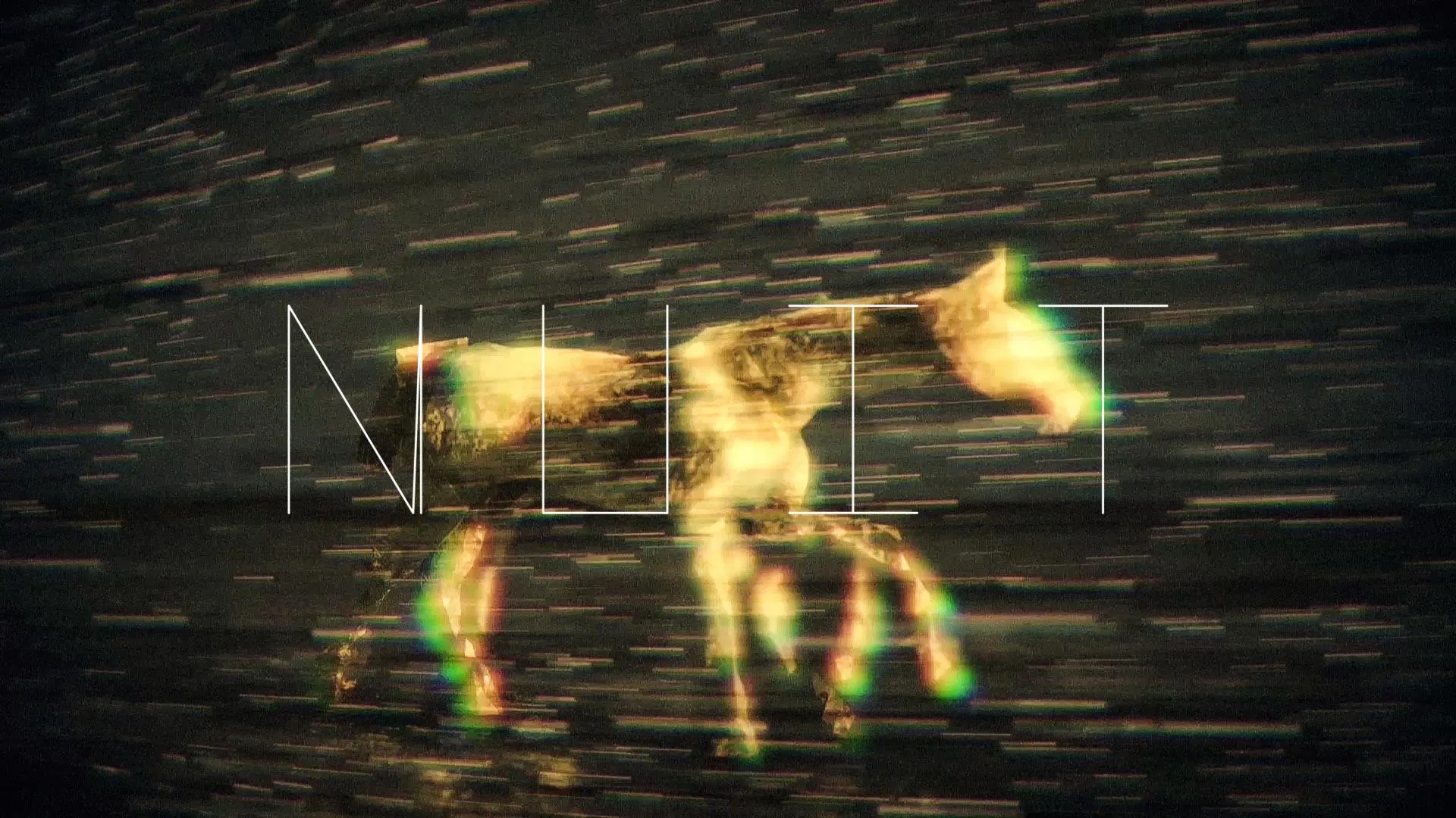 N U I T - Hold your horses, Motion Design