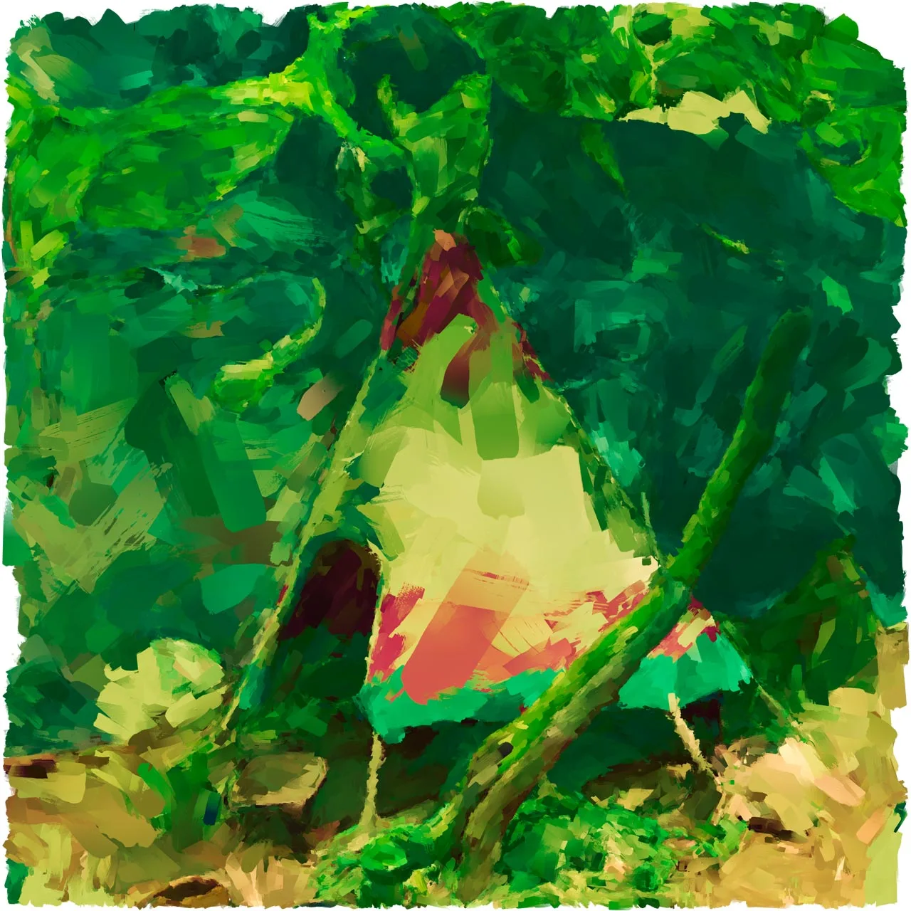 The little market inside the forest — image 2 of 4