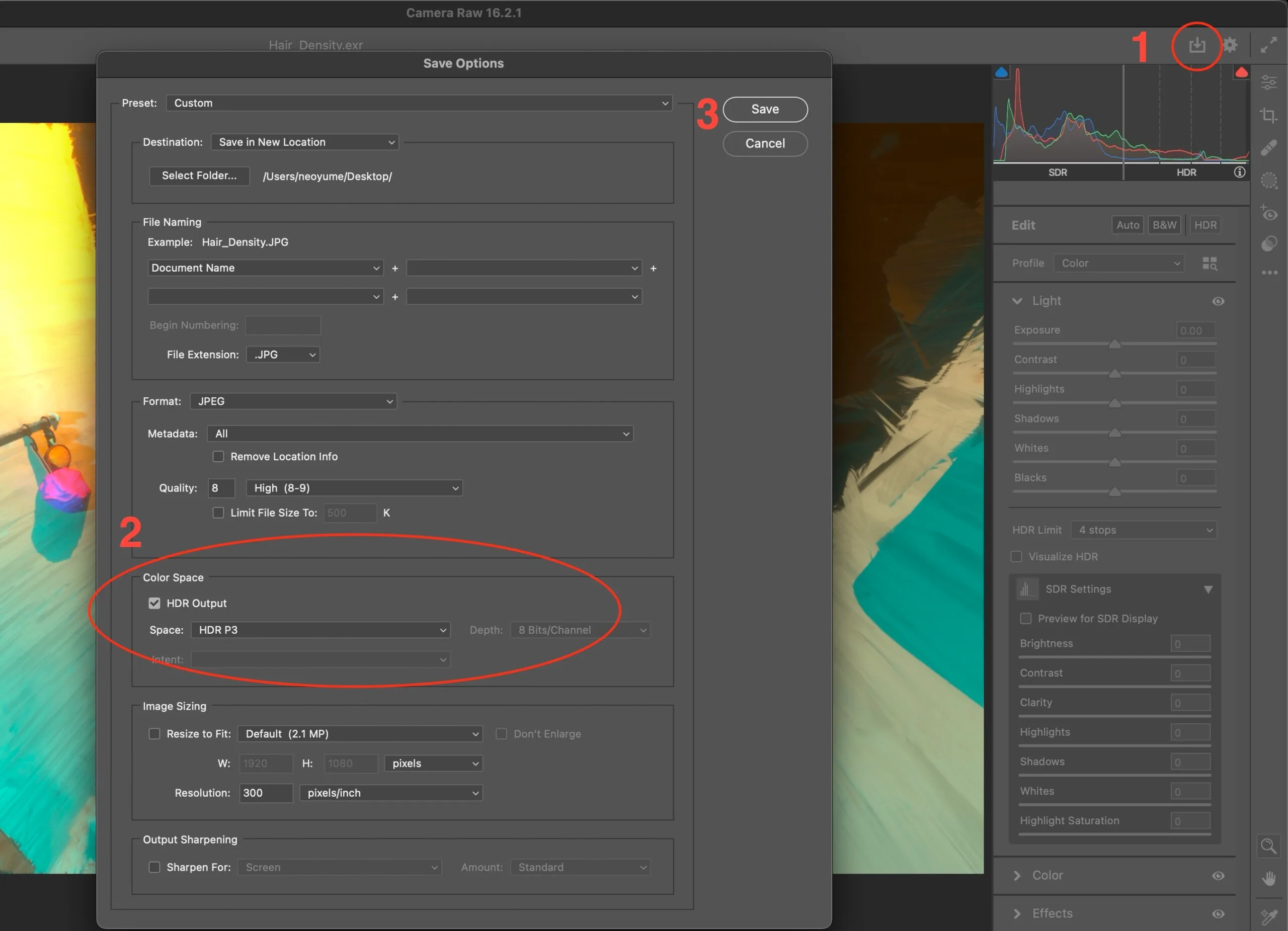 Workflow diagram: exporting an .exr file to HDR JPEG for web