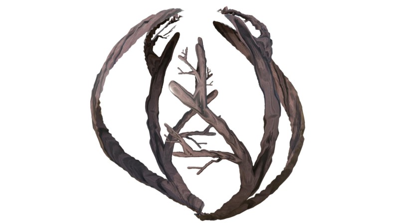 branchsphere